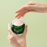 Terrazen PDRN Total Renew Cream Відновлювальний крем для пружності шкіри обличчя, 50 мл